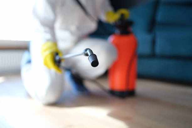 Best Mold Odor Removal Services  in Keary, NE