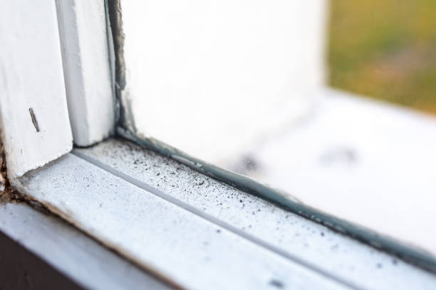 Best Asbestos and Lead Testing During Mold Inspection  in Keary, NE