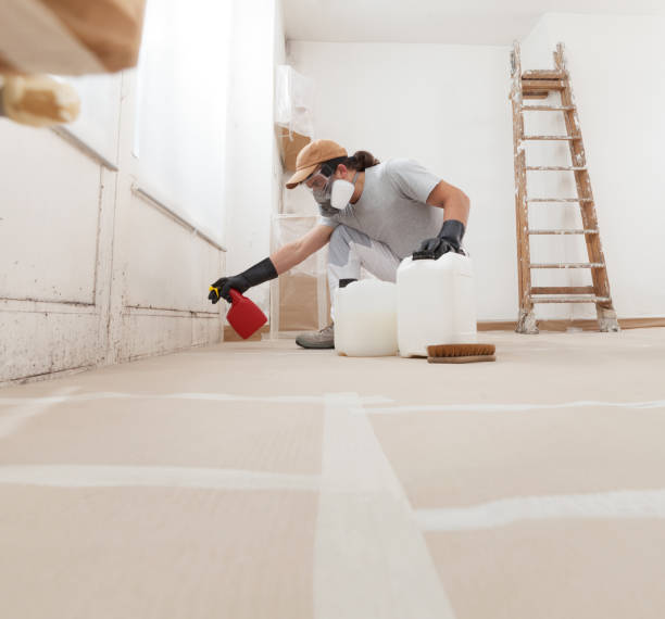 Best Mold Prevention Services  in Keary, NE